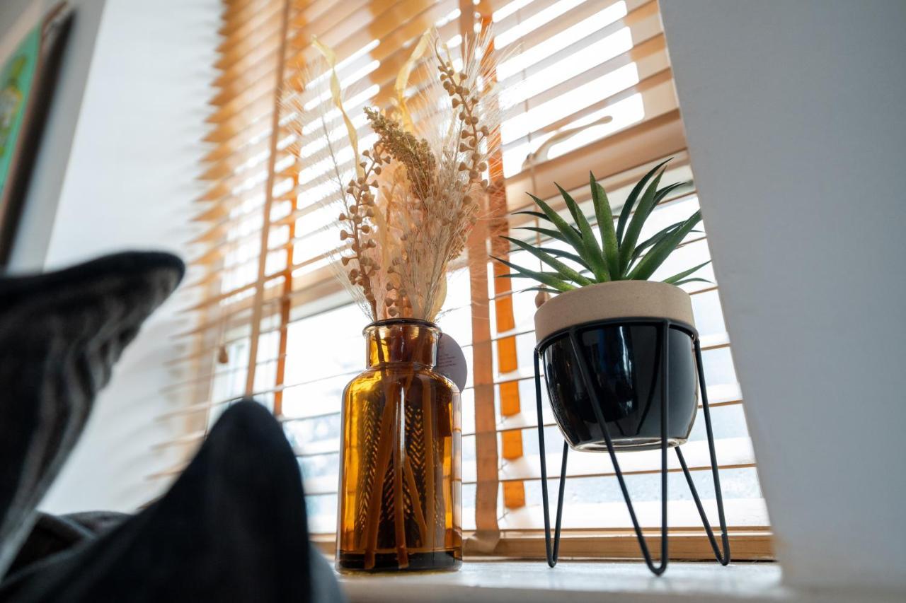 Artistic Stunning View Apartment Londonderry